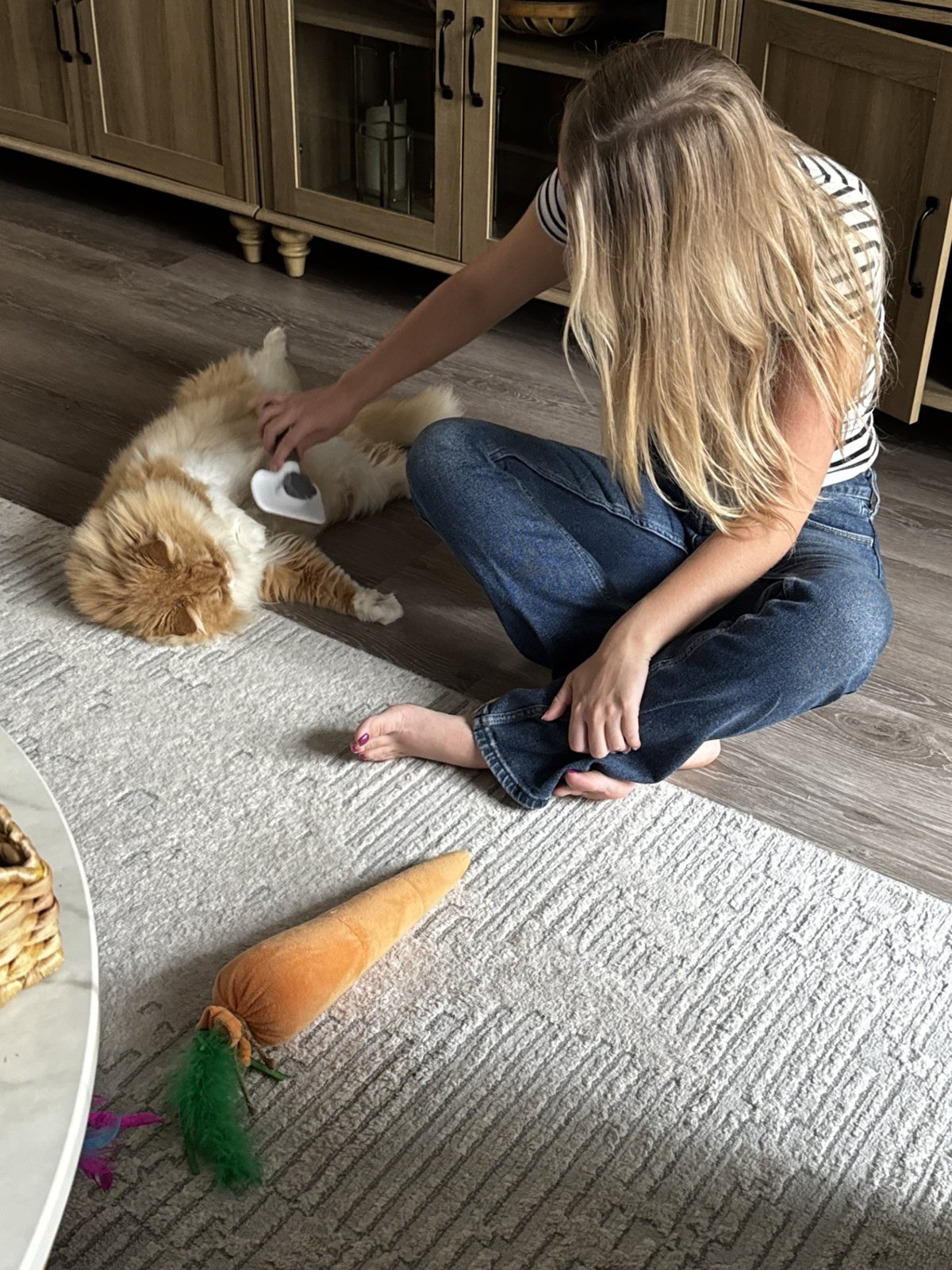 A pet sitter brushing an orange-and-white cat