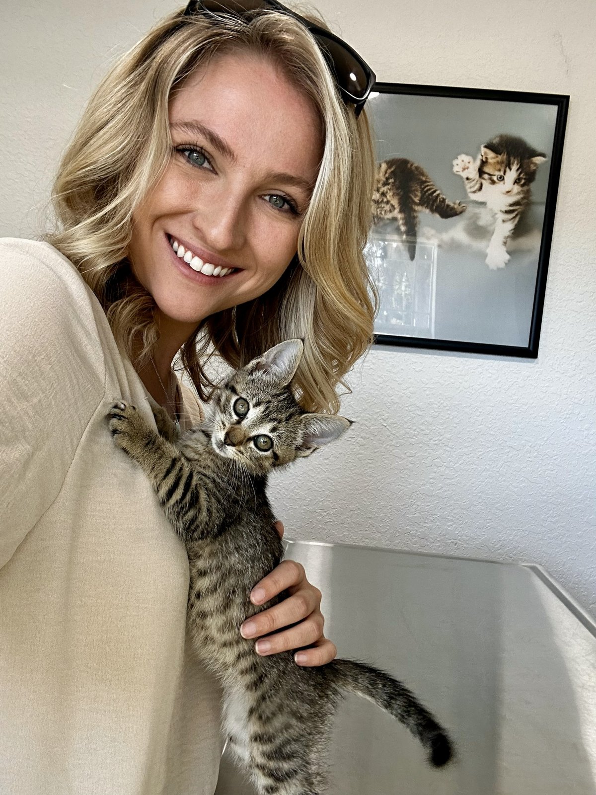 A pet sitter holding a tabby kitten